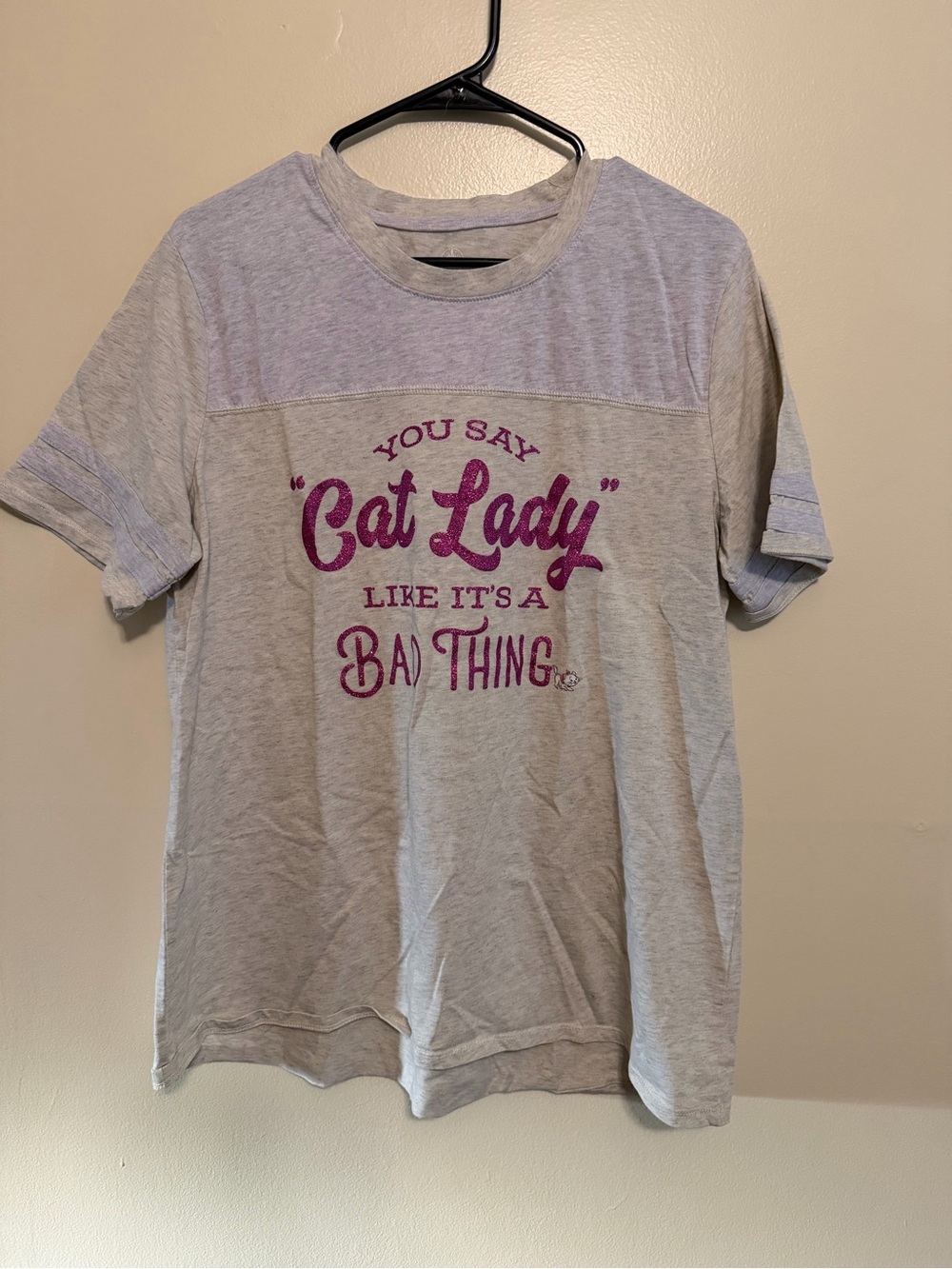 Disney Light Gray Tee with Magenta "Cat Lady" Graphic